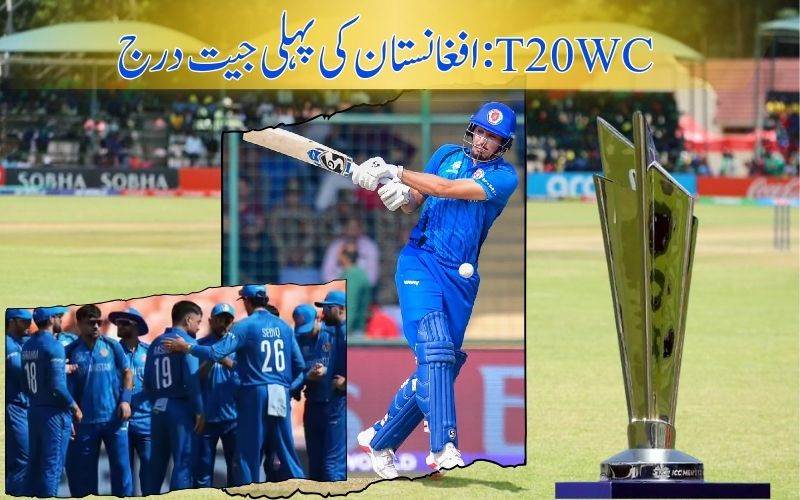 ٹی ٹوئنٹی ورلڈ کپ: افغانستان  نے یو اےای کو 5 وکٹوں سے دی شکست 